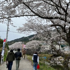 4月スタート!