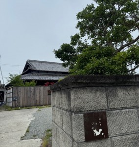 image4 (002)