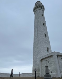 image6