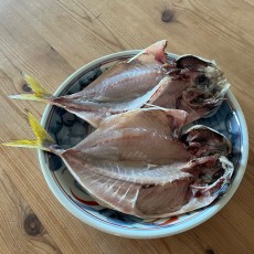 おっさんの休日