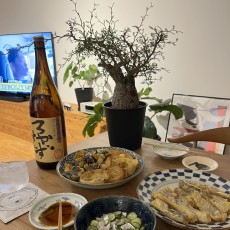 ミスターパーフェクト！