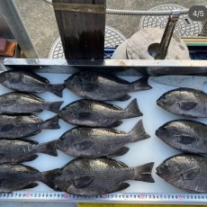 明日は定休日です