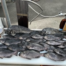 おっさんの休日
