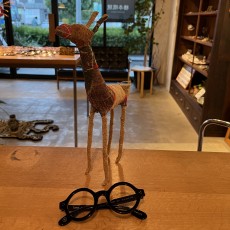 11月スタート！