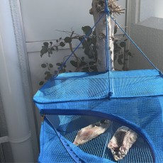 【12月の営業のお知らせ】