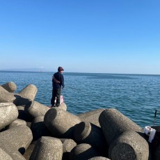 明日は定休日です