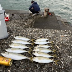 おっさんの休日