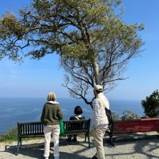 おっさんの休日