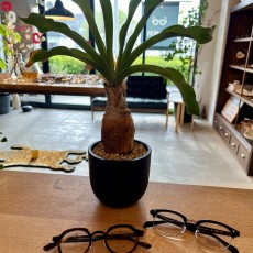 明日は定休日です