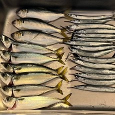 おっさんの休日