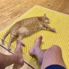 ヤモメ暮らし2日目